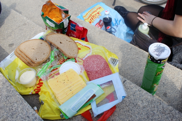 Our picnic spread of bread, salami, cheese, mayo, Pringles, and chips! 